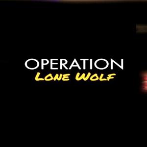 Operation Lone Wolf - Steam Key - Global