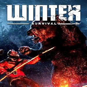 Winter Survival - Steam Key - Global