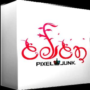 PixelJunk Eden - Steam Key - Global