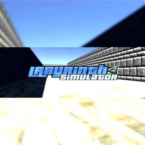 Labyrinth Simulator - Steam Key - Global