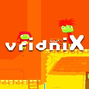 vridniX - Steam Key - Global