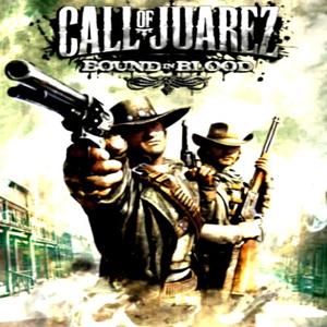 Call of Juarez: Bound in Blood - Steam Key - Global