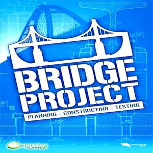 Bridge Project - Steam Key - Global