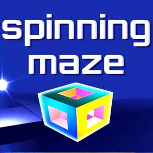 Spinning Maze - Steam Key - Global