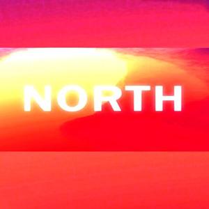 NORTH - Steam Key - Global