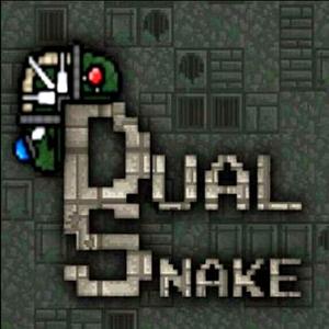 Dual Snake - Steam Key - Global