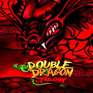 Double Dragon Trilogy - Steam Key - Global