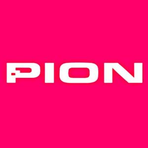 PION - Steam Key - Global