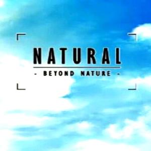 Natural - Beyond Nature - Steam Key - Global