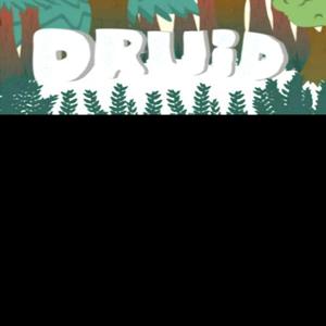 Druid - Steam Key - Global