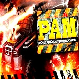 Post Apocalyptic Mayhem - Steam Key - Global