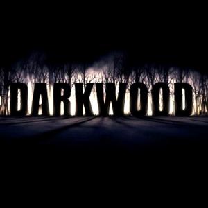 Darkwood - Steam Key - Global