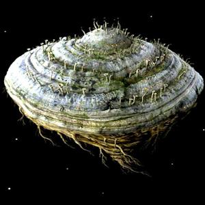 Samorost 2 - Steam Key - Global