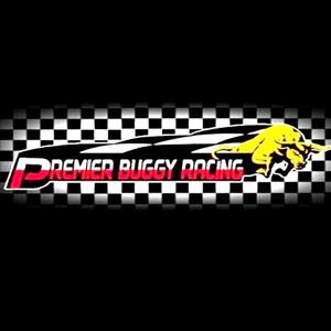 Premier Buggy Racing Tour - Steam Key - Global