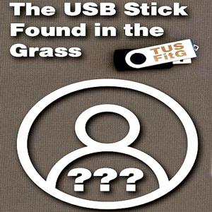 The USB Stick Found in the Grass - Steam Key - Global